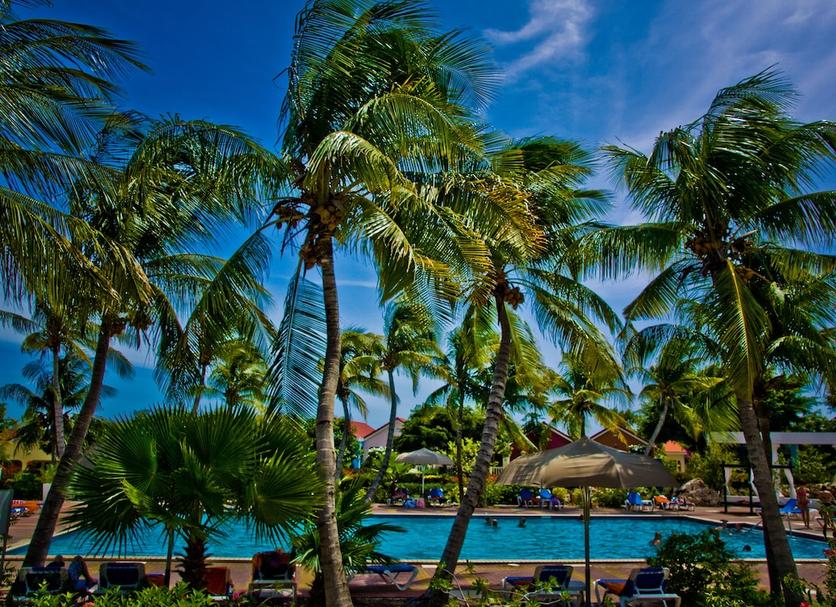Pool Photo
