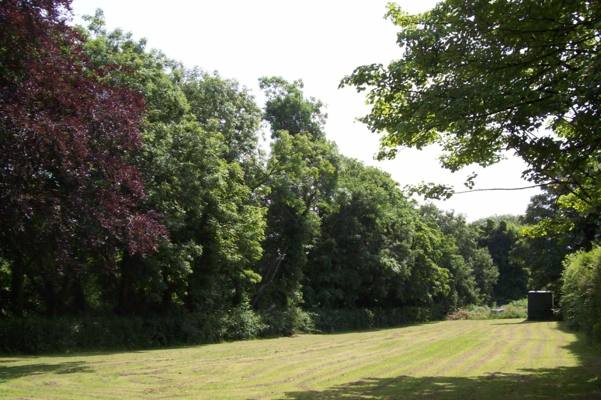 Outdoor view