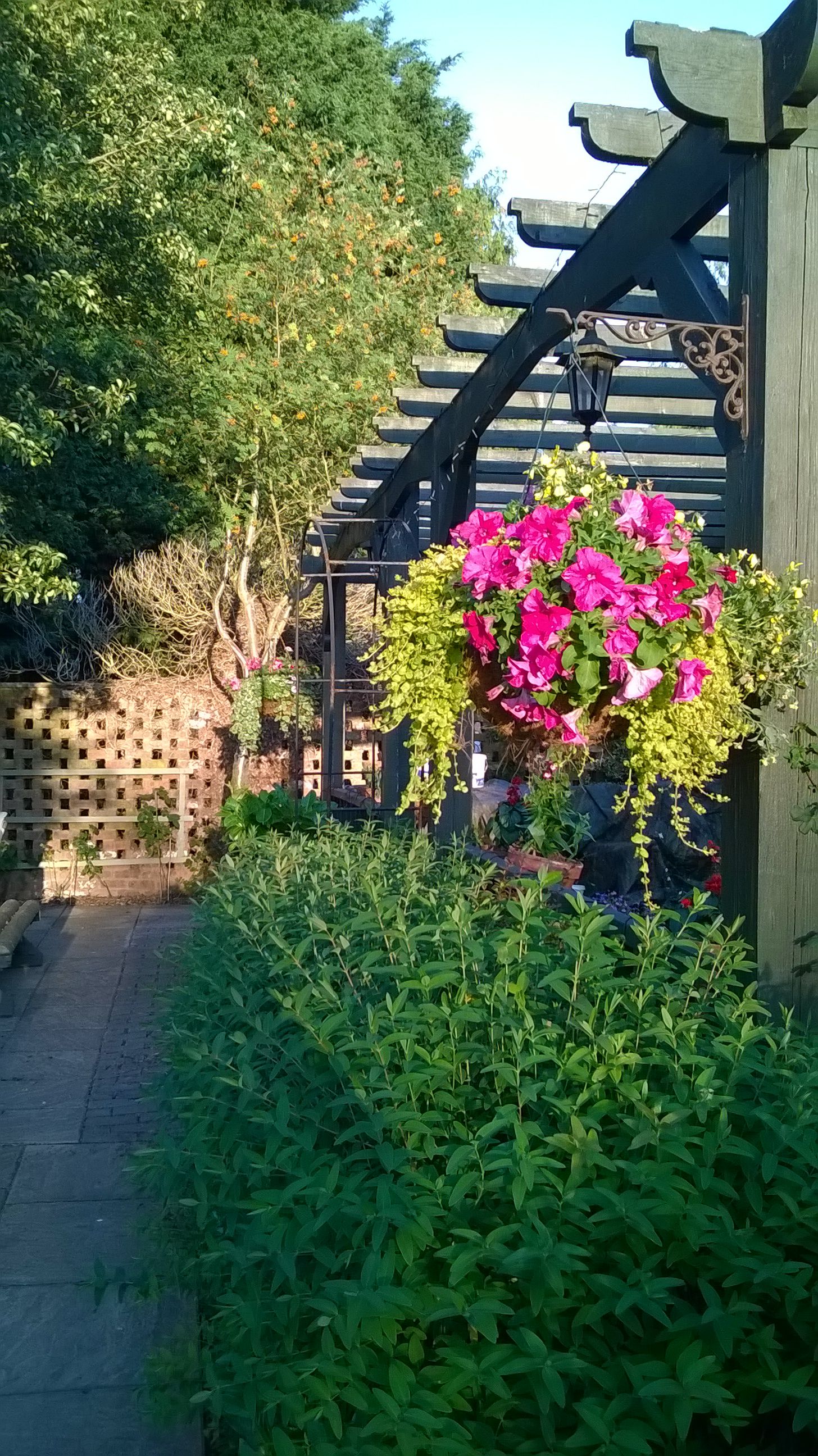 Outdoor view