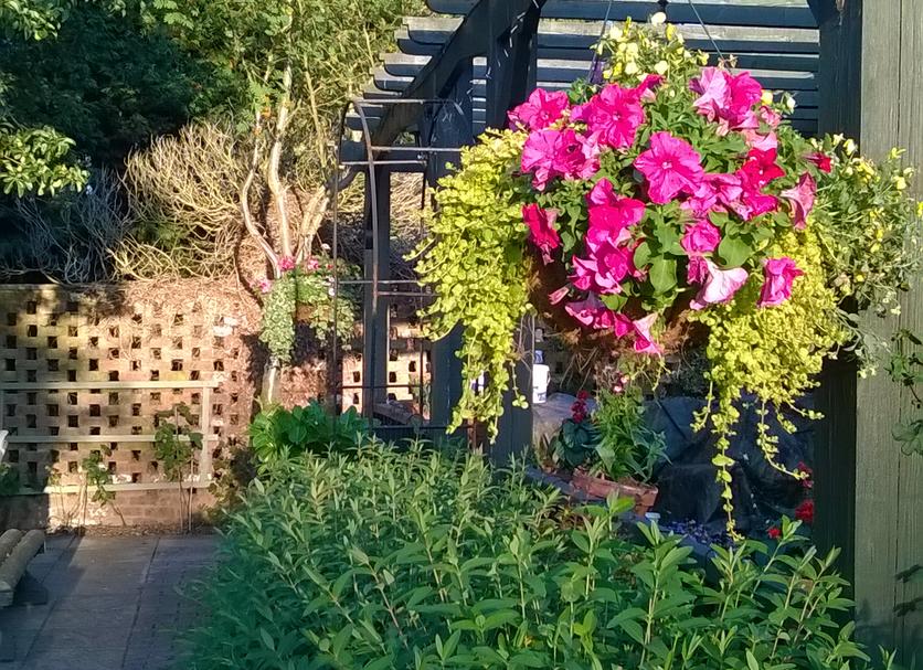 Outdoor view Photo