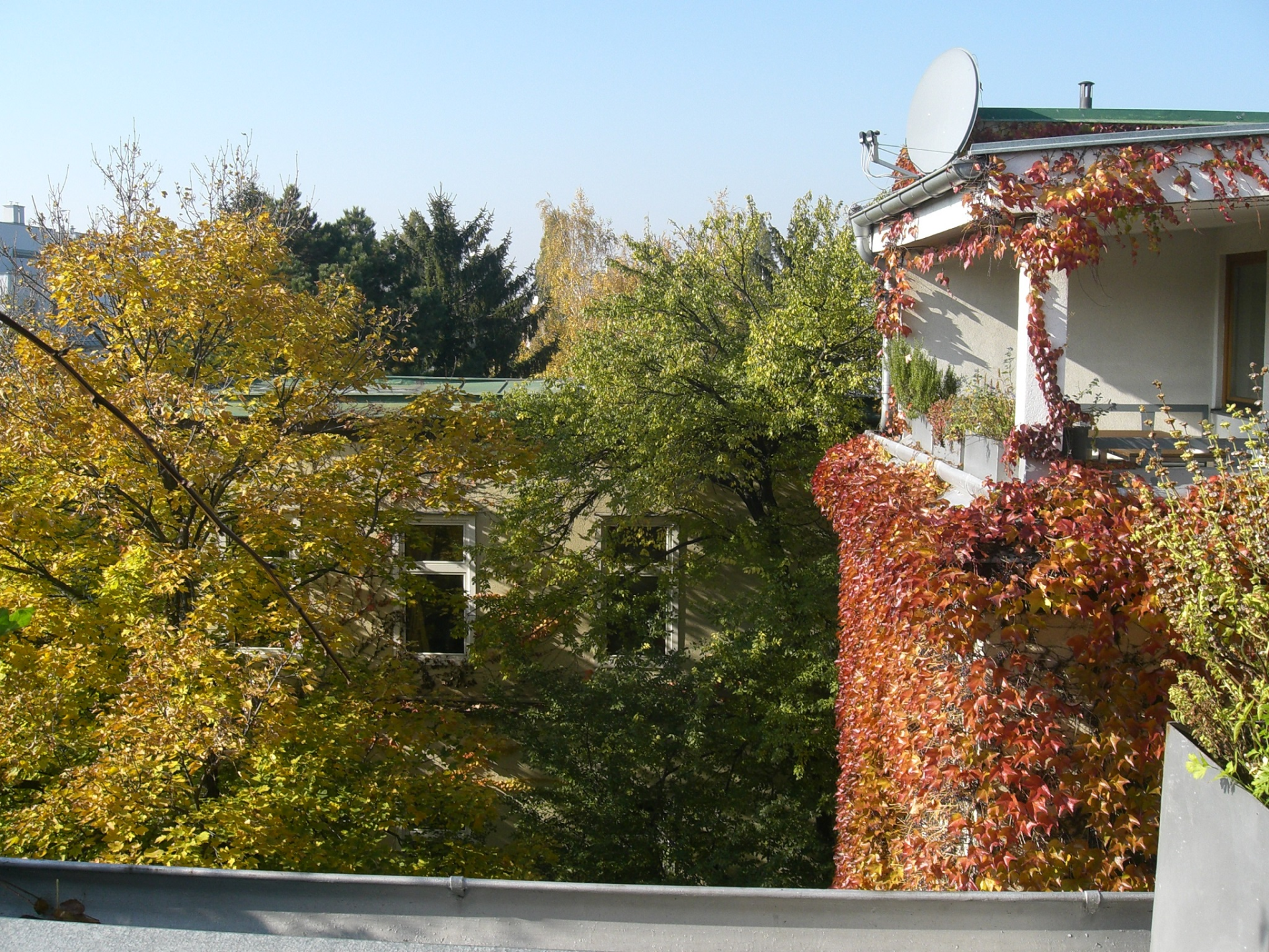 Outdoor view
