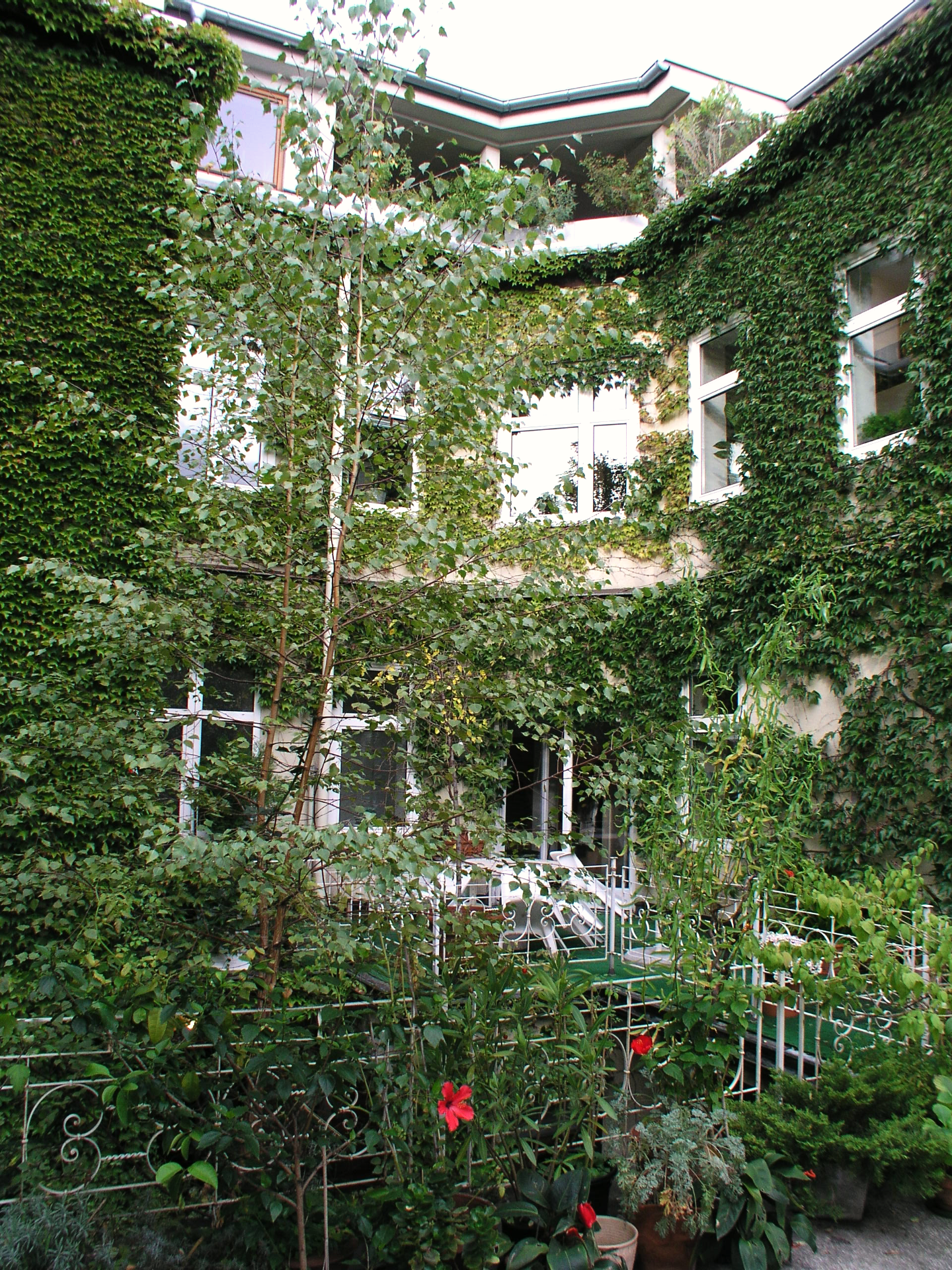 Outdoor view