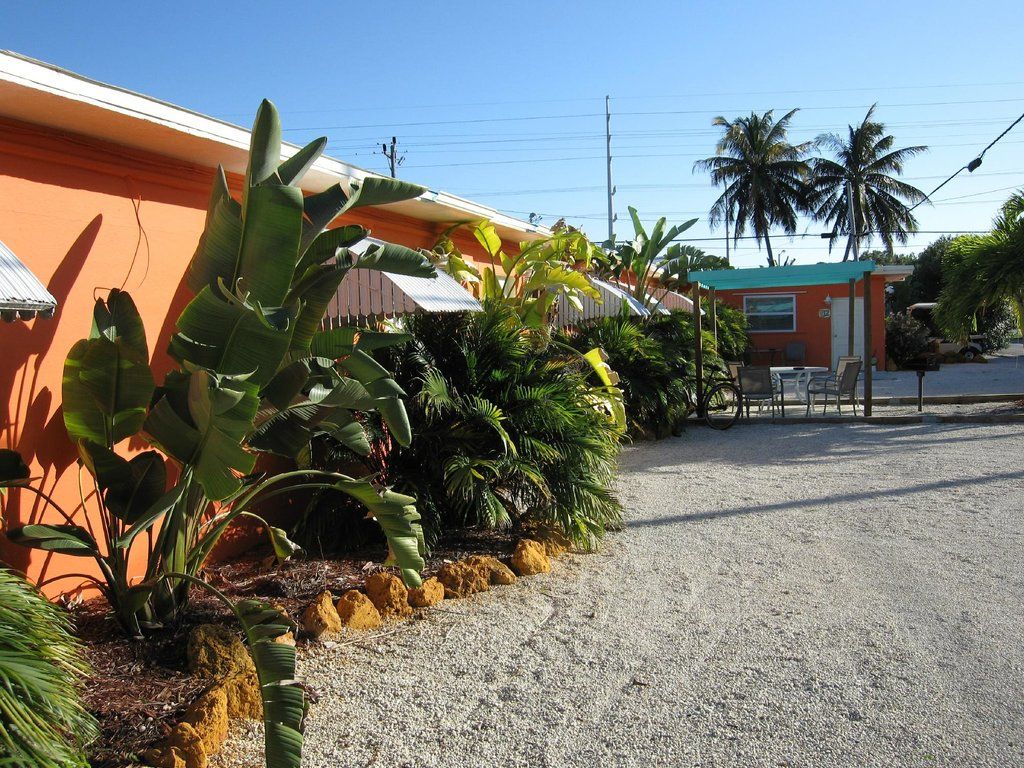 Outdoor view