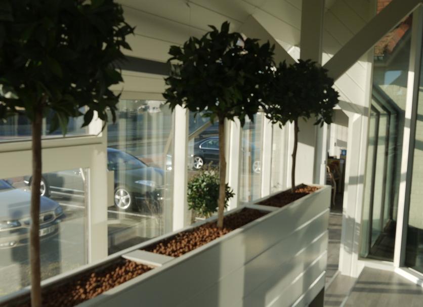 Hotel entrance Photo