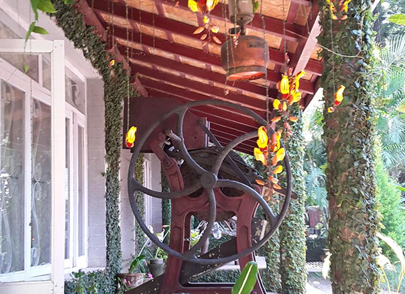 Outdoor view Photo