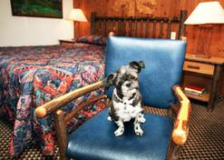 Lakeside Inn and Casino - Stateline - Bedroom