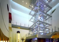 Mandalay Bay Resort And Casino - Las Vegas - Bar