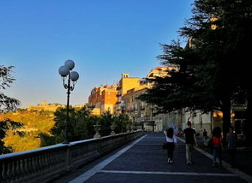 Other Photo