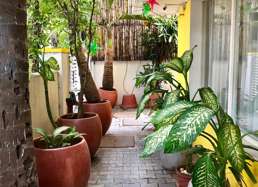 Outdoor view Photo