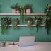 Hotel amenity