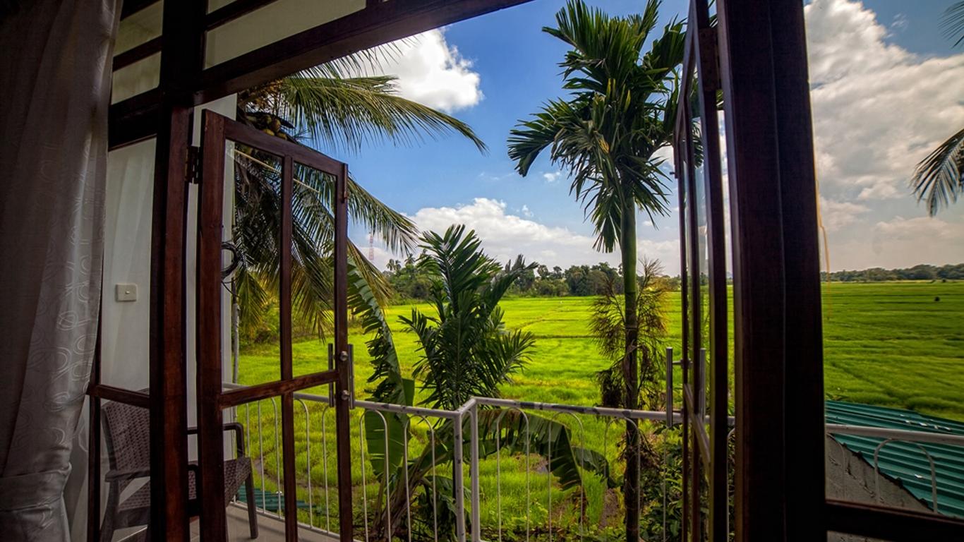 Heaven Upon Rice Fields