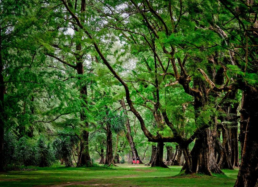 Outdoor view Photo