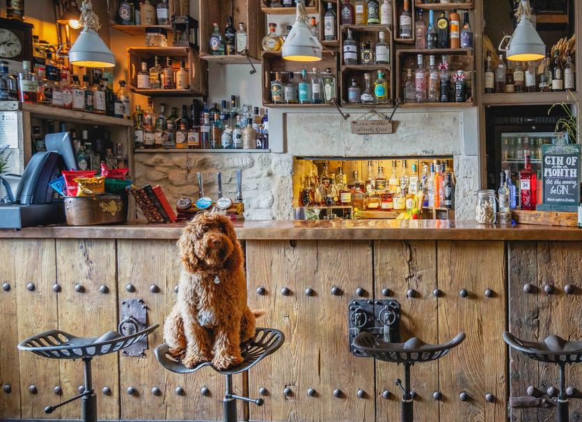 Bar Photo
