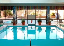 Newark Liberty International Airport Marriott - Newark - Pool