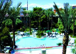 Silver Sevens Hotel & Casino - Las Vegas - Pool