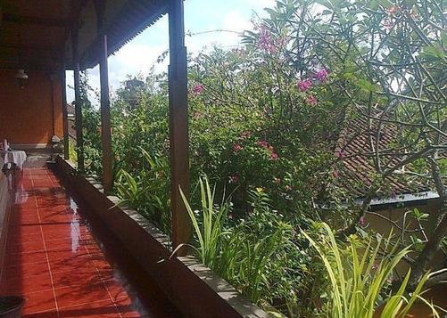 Citrus Tree B&B - Hutama - Ubud - Outdoor view